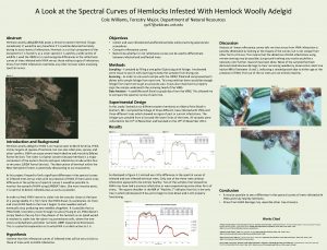 A Look at the Spectral Curves of Hemlocks