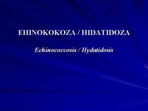 EHINOKOKOZA HIDATIDOZA Echinococcosis Hydatidosis Ehinokokozahidatidoza je teka i