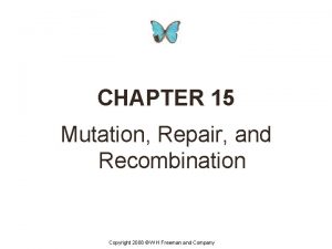 CHAPTER 15 Mutation Repair and Recombination Copyright 2008