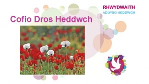 Cofio Dros Heddwch Yn 1918 ar yr unfed