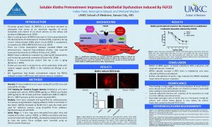 Soluble Klotho Pretreatment Improves Endothelial Dysfunction Induced By