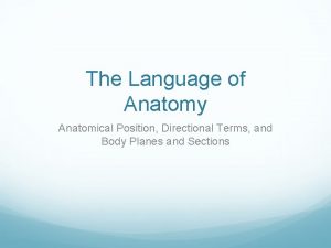 The Language of Anatomy Anatomical Position Directional Terms