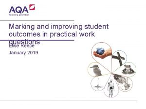 Marking and improving student outcomes in practical work