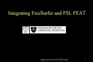 Integrating Free Surfer and FSL FEAT Applying Free