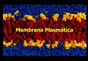 Membrana Plasmtica SEPARAR INTEGRAR Algumas funes da membrana
