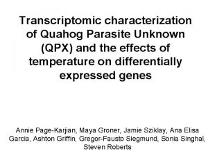 Transcriptomic characterization of Quahog Parasite Unknown QPX and
