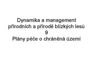 Dynamika a management prodnch a prod blzkch les