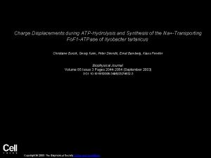Charge Displacements during ATPHydrolysis and Synthesis of the