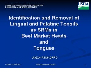 UNITED STATES DEPARTMENT OF AGRICULTURE FOOD SAFETY AND