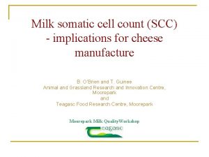 Milk somatic cell count SCC implications for cheese