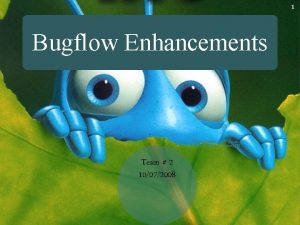 1 Bugflow Enhancements Team2 Bugflow Enhancements Team 2