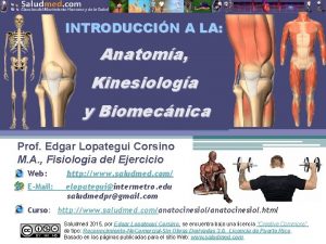 INTRODUCCIN A LA Anatoma Kinesiologa y Biomecnica Prof