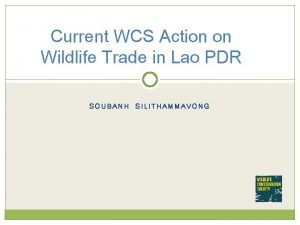Current WCS Action on Wildlife Trade in Lao