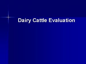 Dairy Cattle Evaluation Why Judge Dairy Cattle Gain