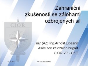 Zahranin zkuenosti se zlohami ozbrojench sil mjr AZ