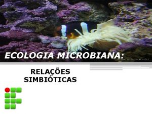 ECOLOGIA MICROBIANA RELAES SIMBITICAS RELAES SIMBITICAS Simbiose Relao