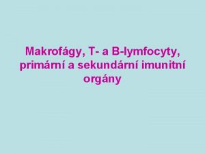 Makrofgy T a Blymfocyty primrn a sekundrn imunitn