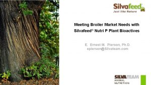 Meeting Broiler Market Needs with Silvafeed Nutri P