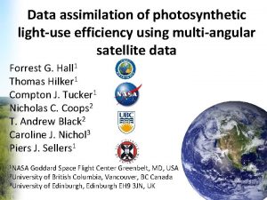 Data assimilation of photosynthetic lightuse efficiency using multiangular