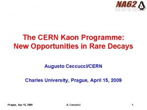The CERN Kaon Programme New Opportunities in Rare