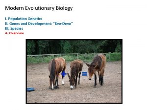 Modern Evolutionary Biology I Population Genetics II Genes