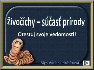 Otestuj svoje vedomosti Mgr Adriana Hotkov o znamen