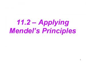 11 2 Applying Mendels Principles 1 Mendel realized