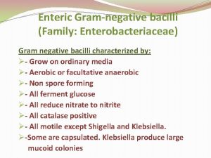 Enteric Gramnegative bacilli Family Enterobacteriaceae Gram negative bacilli