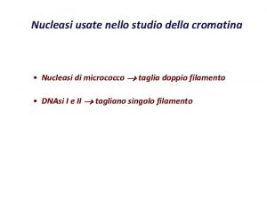 Nucleasi usate nello studio della cromatina Nucleasi di