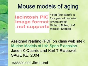 Mouse models of aging Yoda the dwarf a
