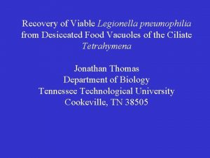 Recovery of Viable Legionella pneumophilia from Desiccated Food