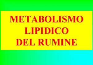 METABOLISMO LIPIDICO DEL RUMINE METABOLISMO LIPIDICO NEL RUMINE