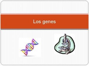 Los genes El ADN El ADN tiene la