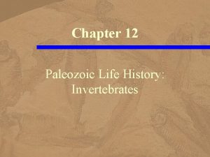 Chapter 12 Paleozoic Life History Invertebrates Burgess Shale