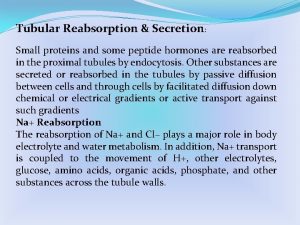 Tubular Reabsorption Secretion Small proteins and some peptide