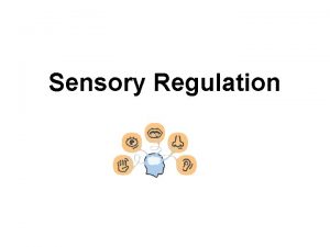 Sensory Regulation Sensory regulation ideas and activities Hello