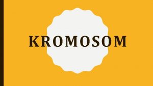 KROMOSOM Tujuan Umum Mengetahui tentang kromosom Tujuan khusus