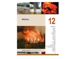 Phases of wildfires Preignition energy absorbing Preheating drying