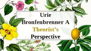 Urie Bronfenbrenner A Theorists Perspective Daynica Fisher Gabrielle