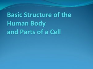 Basic Structure of the Human Body and Parts