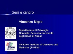 Geni e cancro Vincenzo Nigro Dipartimento di Patologia