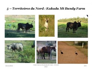 5 Territoires du Nord Kakadu Mt Bundy Farm