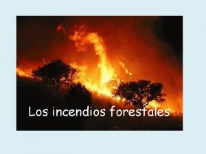 Los incendios forestales Una definicin Un que se