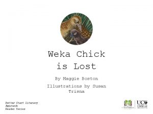 Weka Chick is Lost By Maggie Boston Illustrations