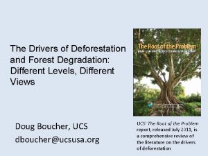 The Drivers of Deforestation and Forest Degradation Different