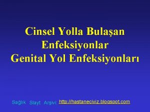 Cinsel Yolla Bulaan Enfeksiyonlar Genital Yol Enfeksiyonlar Salk