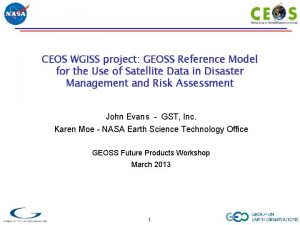CEOS WGISS project GEOSS Reference Model for the