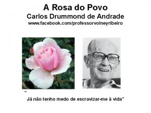 A Rosa do Povo Carlos Drummond de Andrade