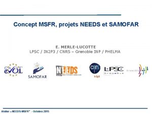 Concept MSFR projets NEEDS et SAMOFAR E MERLELUCOTTE