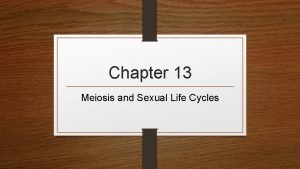 Chapter 13 Meiosis and Sexual Life Cycles Offspring